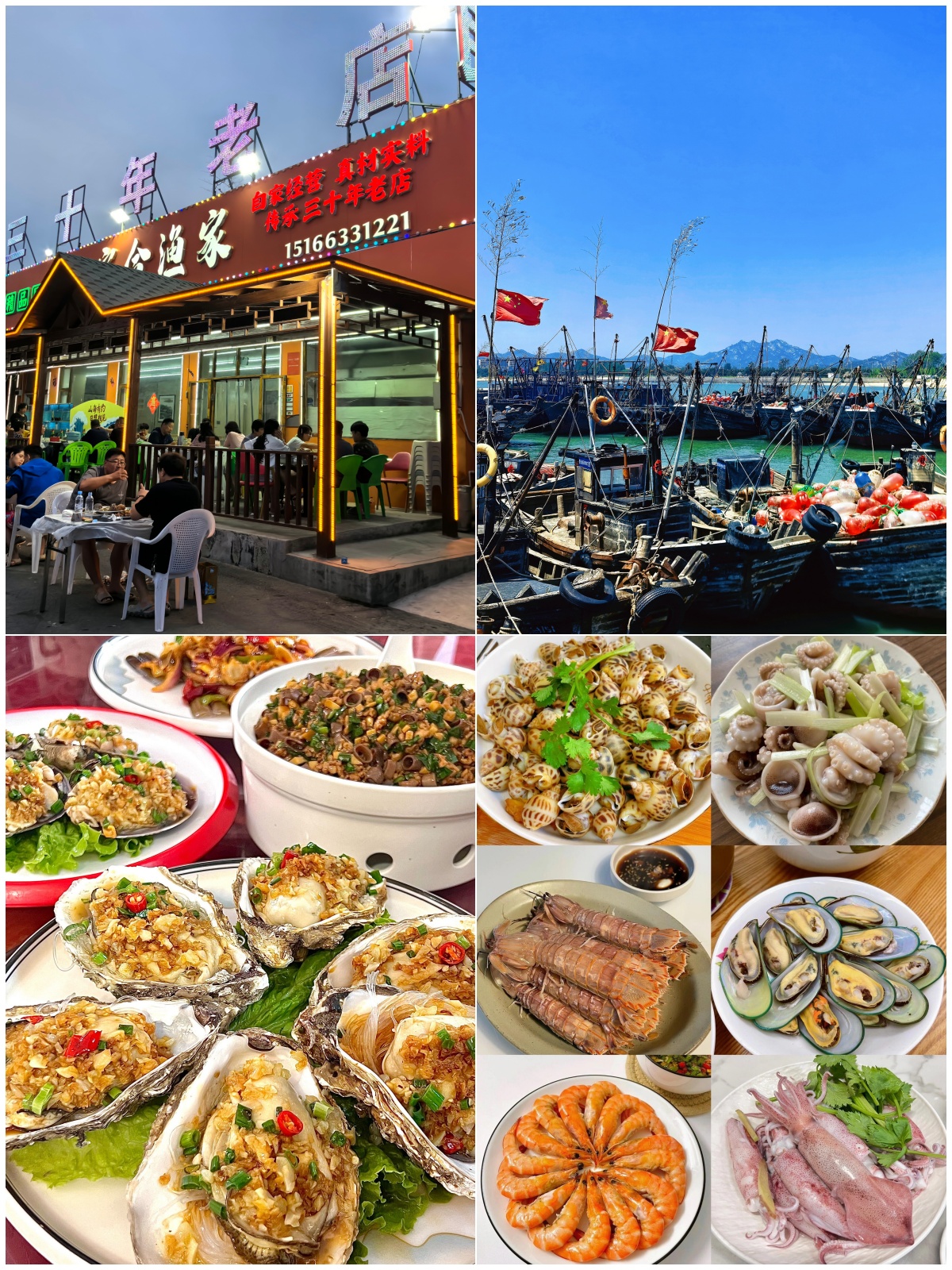 任家台码头刚上岸的海货｜来宗合渔家实现海鲜自由(图1)
